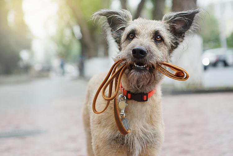 ARCOTEL HafenCity Dresden | Dresden | 15
