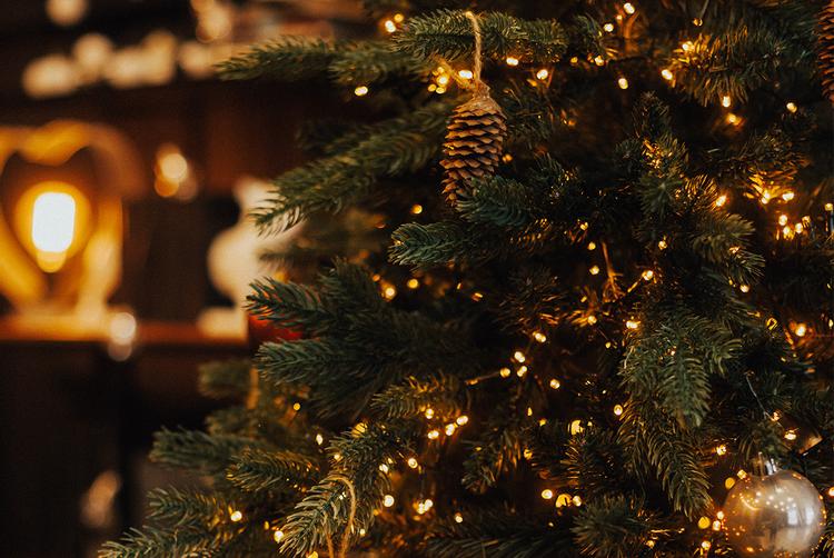 ARCOTEL HafenCity Dresden | Dresden | 2